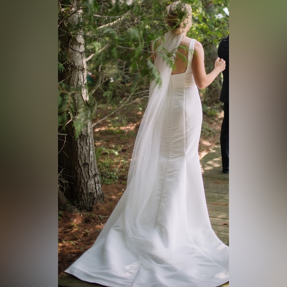 Anne Barge – Blue Willow Collection "Esme" Wedding Gown - Picture 4 of 5